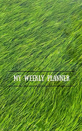 My Weekly Planner - 9781366641564