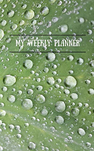 My Weekly Planner - 9781366641571