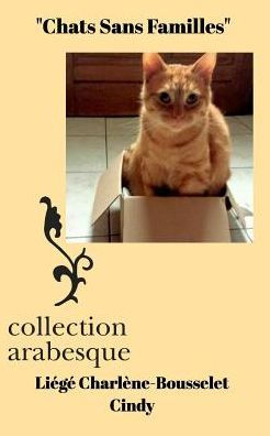 Chats Sans Familles (French Edition)