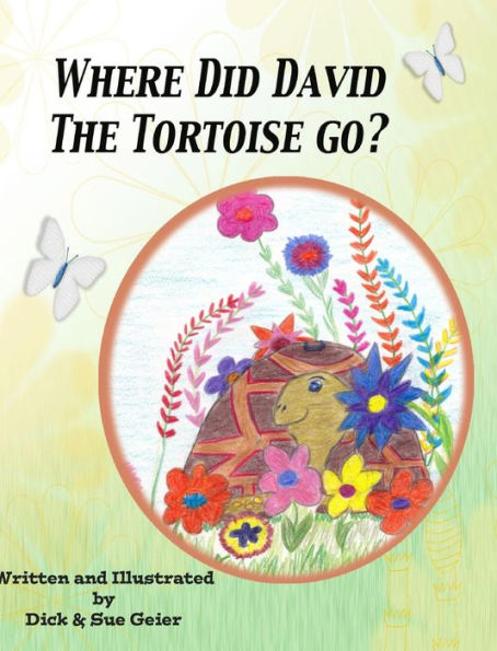 Where Did David The Tortoise Go?: The Story Of A Lost Pet