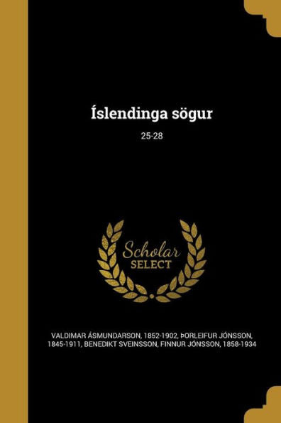 Íslendinga Sögur; 25-28 (Icelandic Edition)