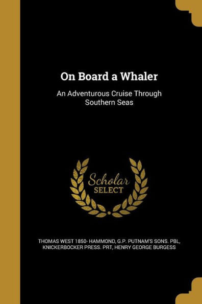 On Board A Whaler: An Adventurous Cruise Through Southern Seas