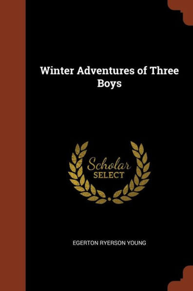 Winter Adventures Of Three Boys