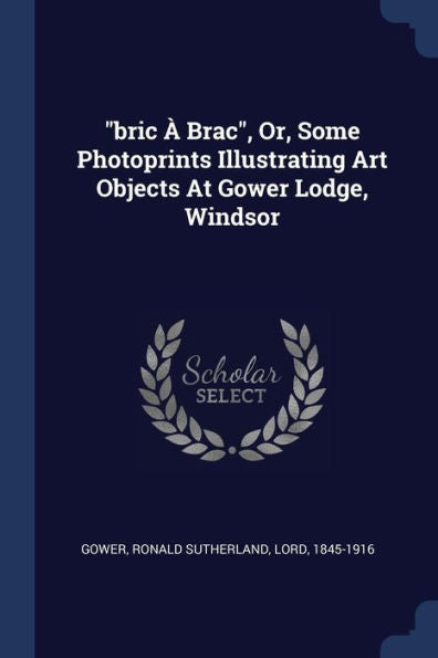 Bric ? Brac, Or, Some Photoprints Illustrating Art Objects At Gower Lodge, Windsor