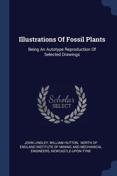 Illustrations Of Fossil Plants: Being An Autotype Reproduction Of Selected Drawings
