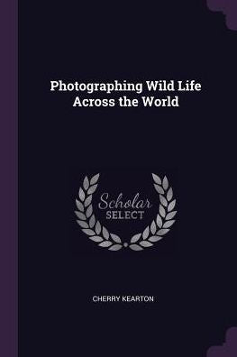 Photographing Wild Life Across The World