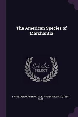 The American Species Of Marchantia