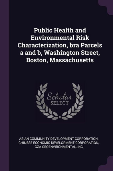 Public Health And Environmental Risk Characterization, Bra Parcels A And B, Washington Street, Boston, Massachusetts