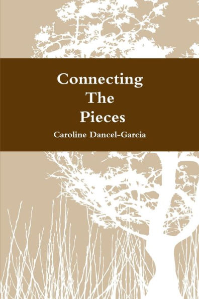 Connecting The Pieces: A Family's Life Story