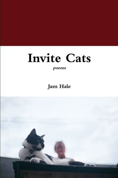 Invite Cats