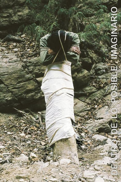 Dentro De Lo Posible Imaginario (Spanish Edition)