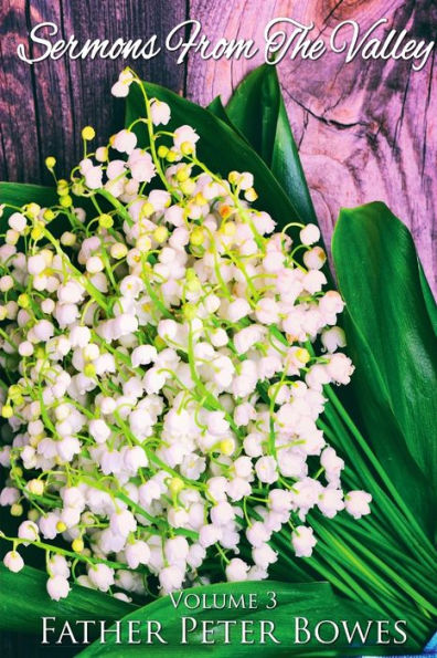 Sermons From The Valley - Vol. 3