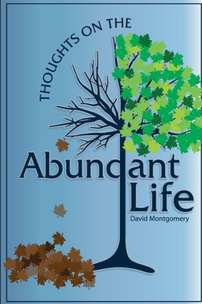 Thoughts On The Abundant Life