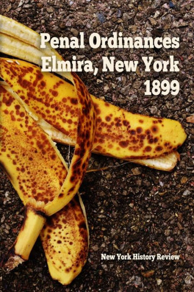 Penal Ordinances Of Elmira, New York 1899