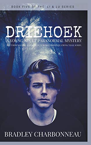 Driehoek (5) (Lu & Lu)