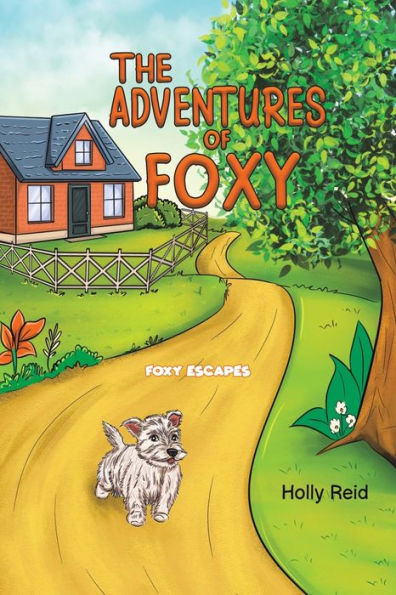 The Adventures Of Foxy