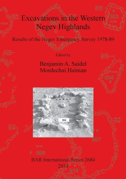 Excavations In The Western Negev Highlands: Results Of The Negev Emergency Survey 1978-89 (Bar International)