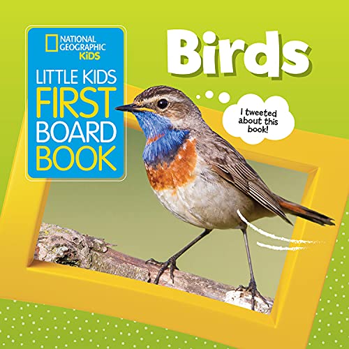 Little Kids First Board Book: Birds (First Board Books)