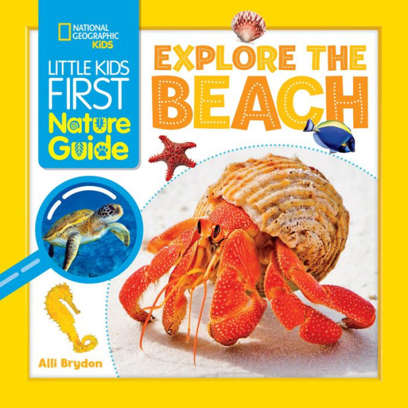 Little Kids First Nature Guide: Explore The Beach