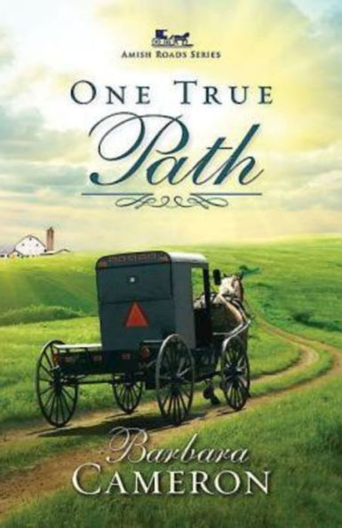 One True Path: Amish Roads Series - Book 3 (Amish Roads, 3)