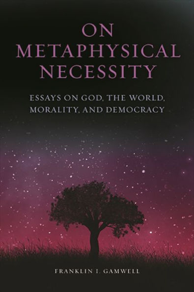 On Metaphysical Necessity: Essays On God, The World, Morality, And Democracy