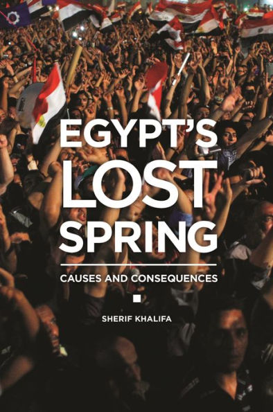 Egypt's Lost Spring: Causes And Consequences