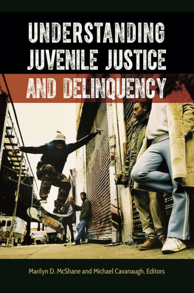 Understanding Juvenile Justice And Delinquency
