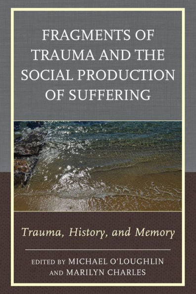 Fragments Of Trauma And The Social Production Of Suffering: Trauma, History, And Memory (New Imago)