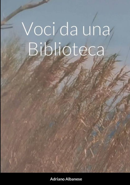Voci Da Una Biblioteca (Italian Edition)