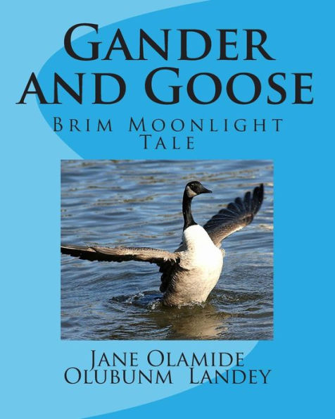 Gander And Goose: Brim Moonlight Tale