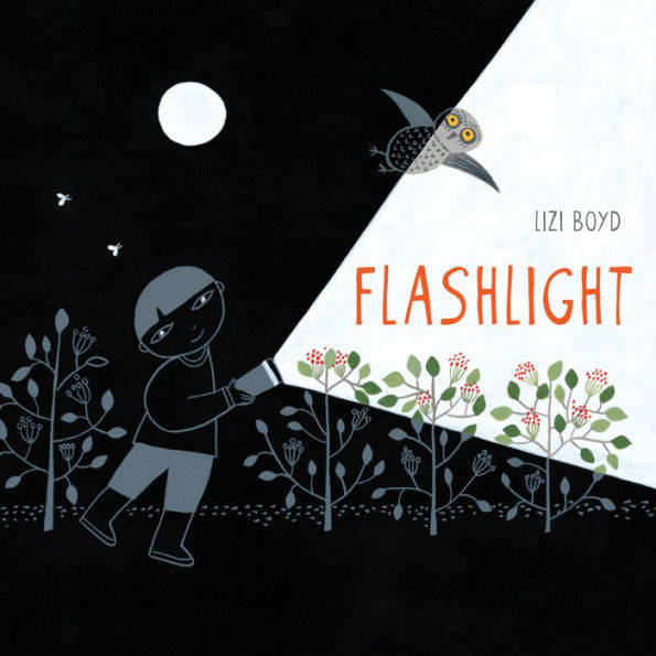 Flashlight: (Picture Books, Wordless Books For Kids, Camping Books For Kids, Bedtime Story Books, Children's Activity Books, Children's Nature Books)