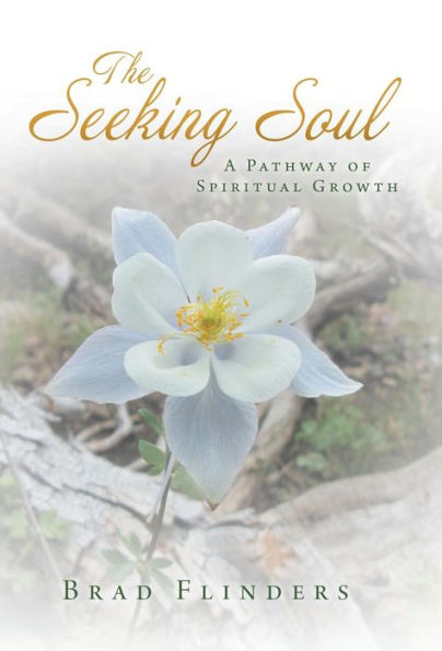 The Seeking Soul: A Pathway Of Spiritual Growth