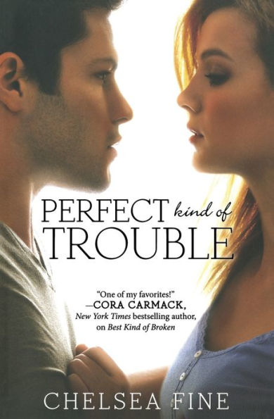 Perfect Kind Of Trouble