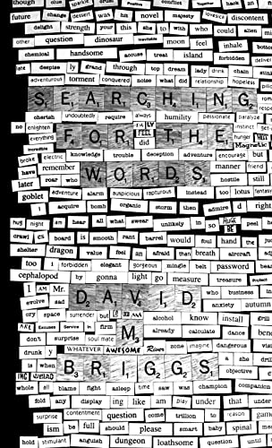 Searching For The Words: Magnet Poems