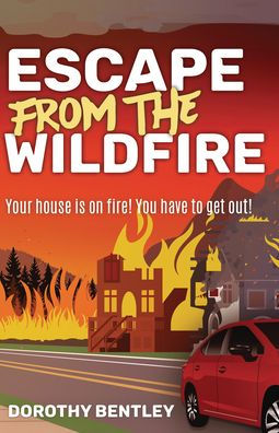 Escape From The Wildfire