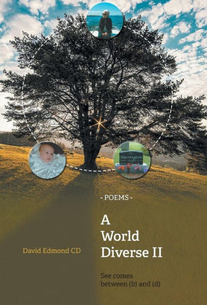 A World Diverse Ii: See Comes Between (B) And (D)