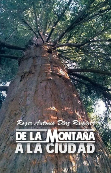 De La Montana A La Ciudad: El Niño Pobre (Spanish Edition)