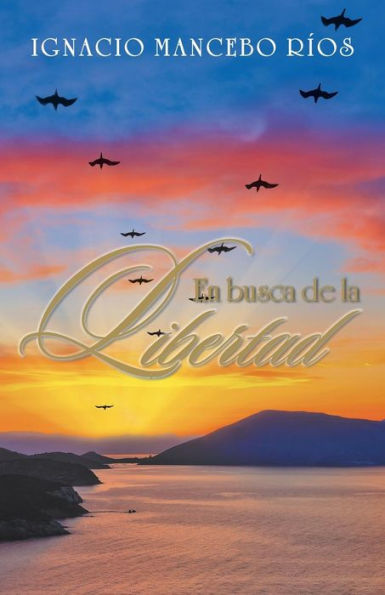 En Busca De La Libertad (Spanish Edition)