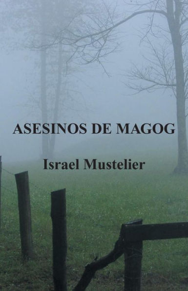 Asesinos De Magog (Spanish Edition)