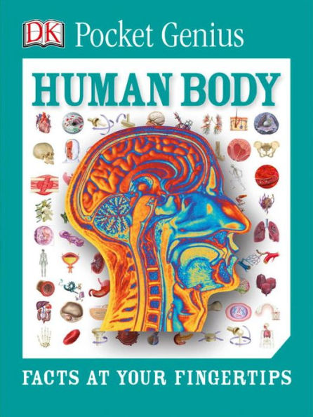 Pocket Genius: Human Body: Facts At Your Fingertips