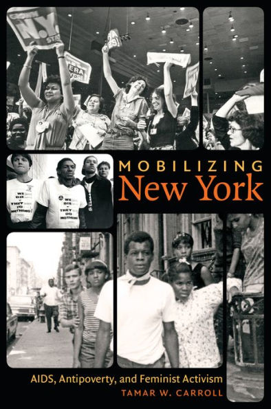 Mobilizing New York: Aids, Antipoverty, And Feminist Activism (Gender And American Culture)
