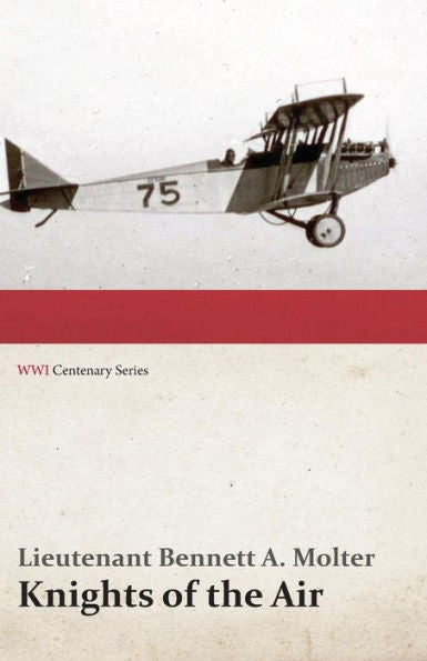 Knights Of The Air (Wwi Centenary Series)
