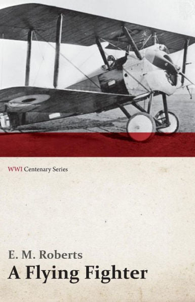 A Flying Fighter - An American Above The Lines In France (Wwi Centenary Series)