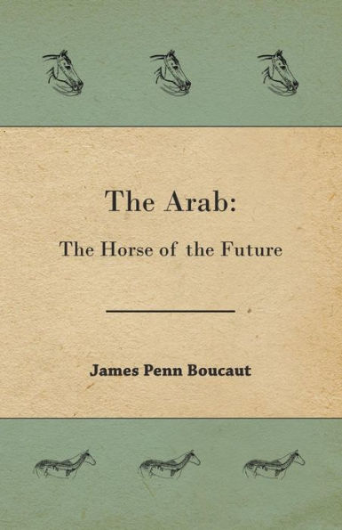 The Arab: The Horse Of The Future