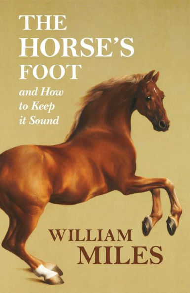 The Horse's Foot And How To Keep It Sound
