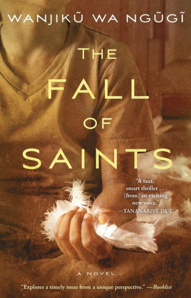 The Fall Of Saints: A Novel