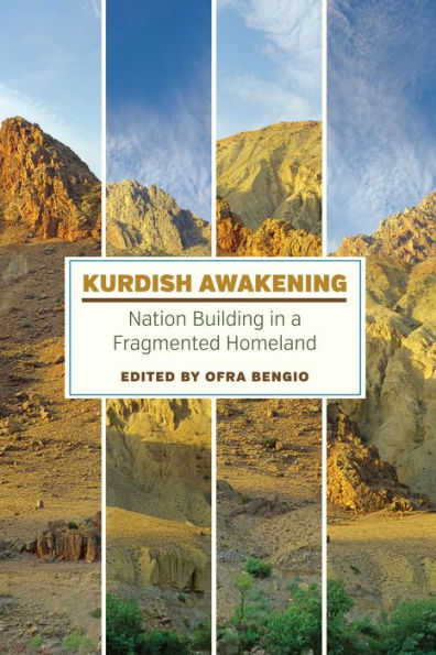 Kurdish Awakening: Nation Building In A Fragmented Homeland