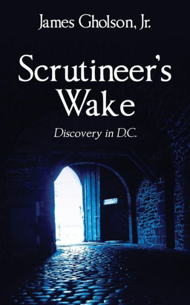 Scrutineer's Wake: Discovery In D.C.
