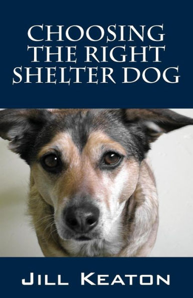 Choosing The Right Shelter Dog