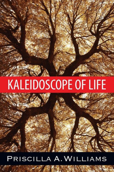 Kaleidoscope Of Life